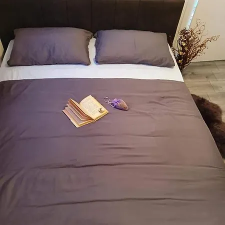 New Near Beutiful Apartamento Vir