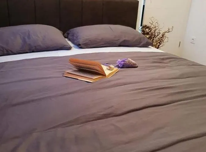 New Near Beutiful Vir